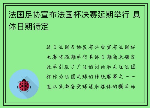 法国足协宣布法国杯决赛延期举行 具体日期待定